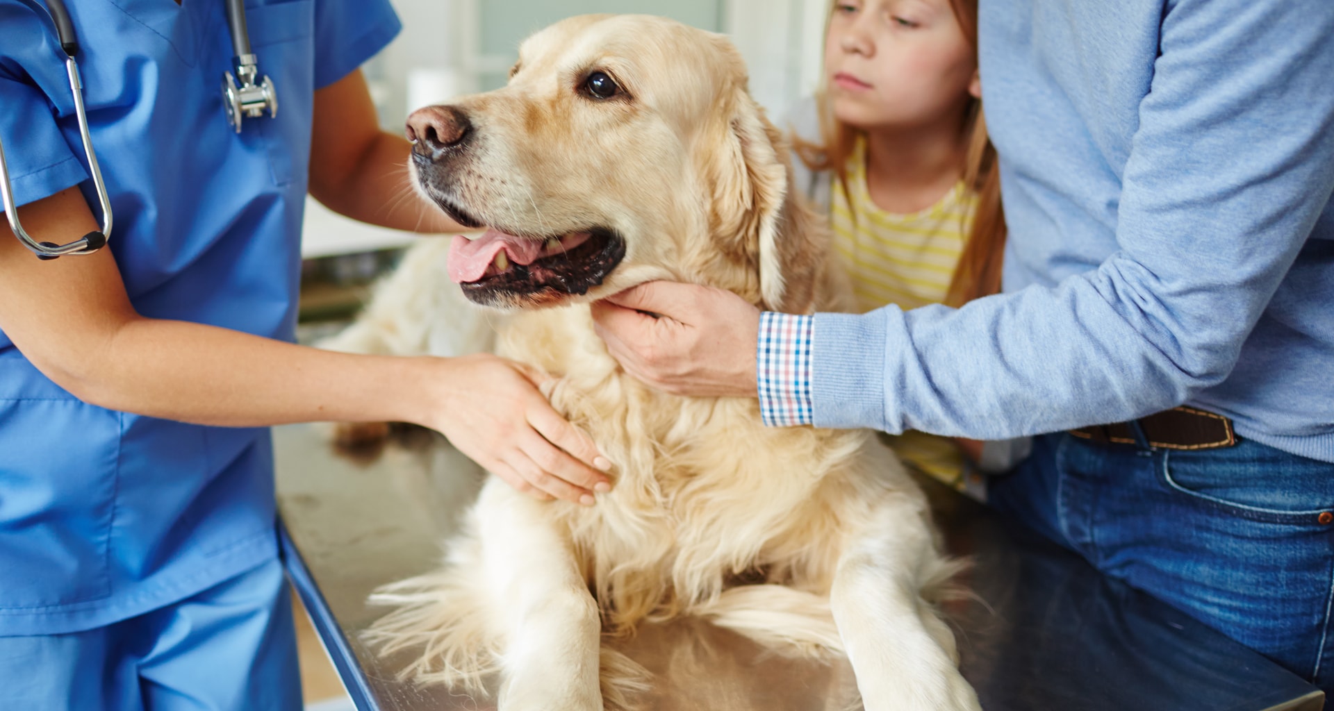 About NSVMA Nova Scotia Veterinary Member Assosciation